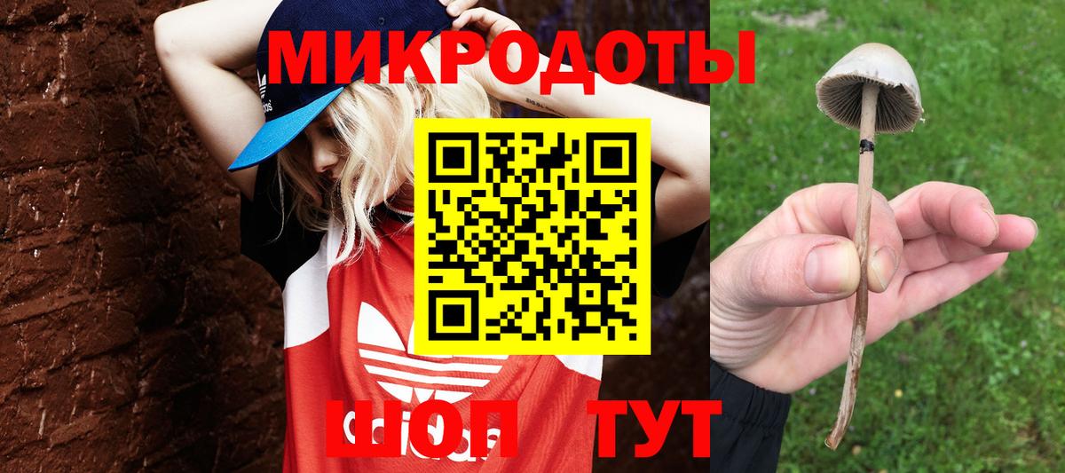 Ялуторовск  Псилоцибиновые грибы MAGIC MUSHROOMS  Вход с VPN 